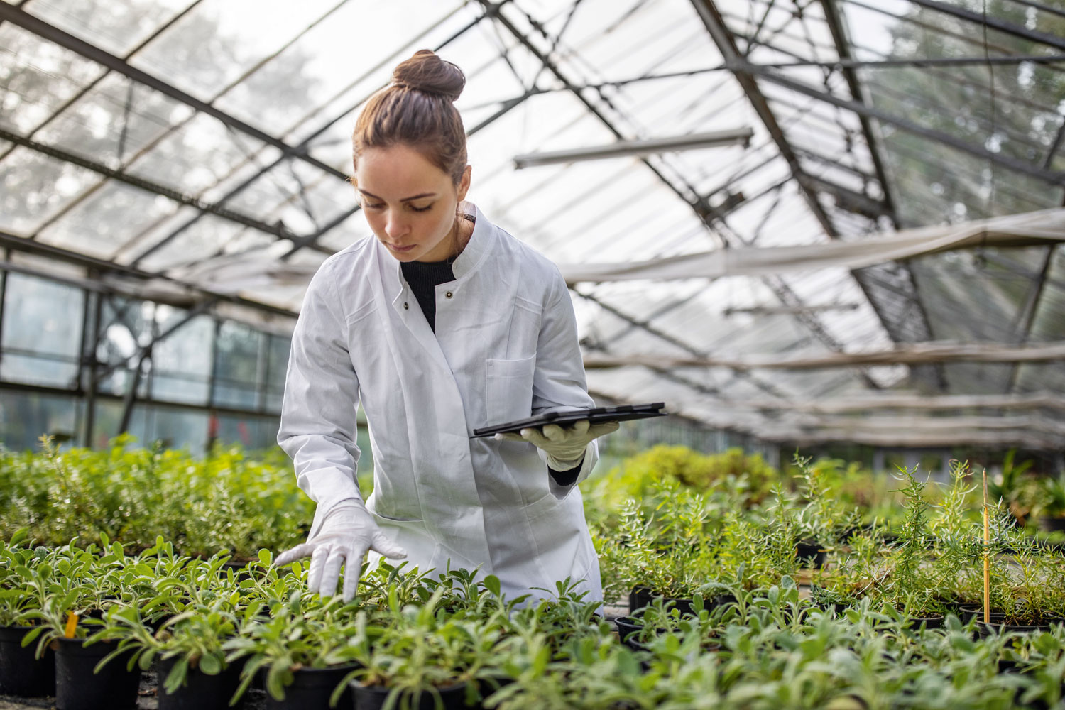 NRW’de Çevre Teknolojisi (Greentech)